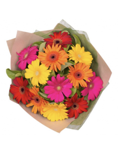 Ramo Gerberas Multicolor